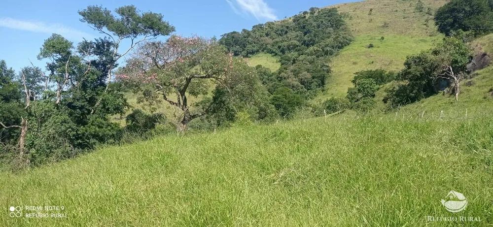 Terreno, 6 hectares - Foto 15