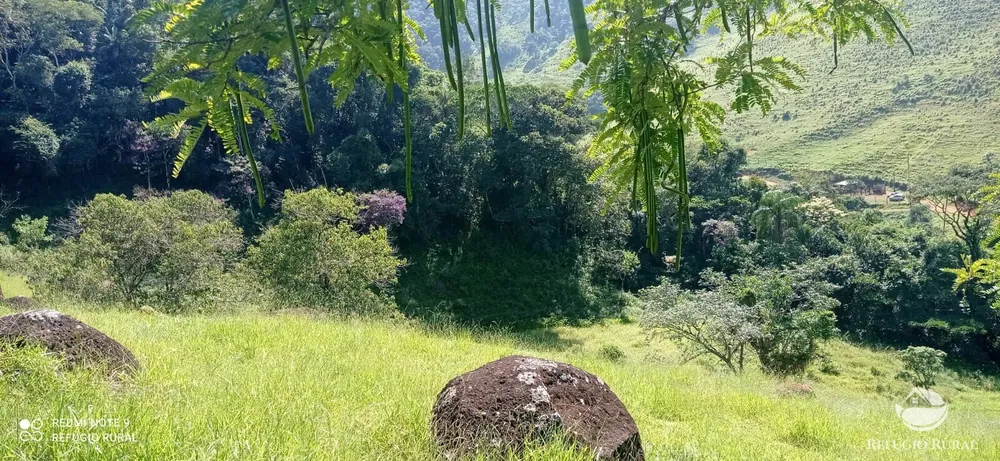 Terreno, 6 hectares - Foto 12