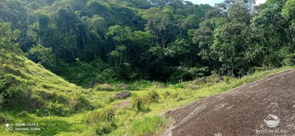 Terreno, 6 hectares - Foto 6