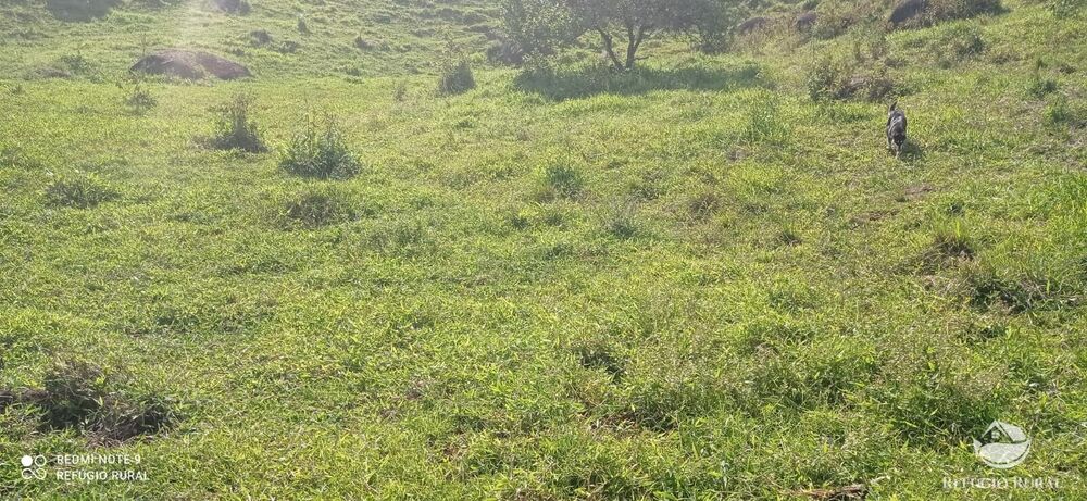 Terreno à venda, 60000m² - Foto 1