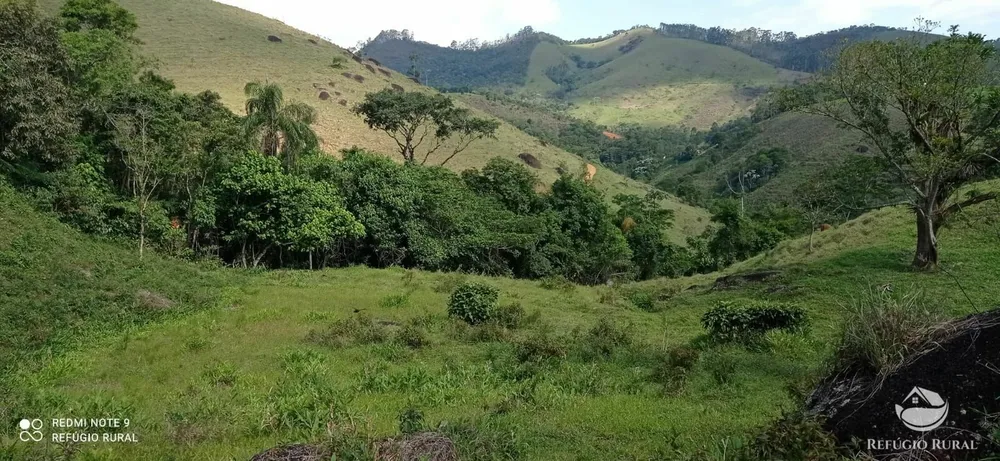Terreno, 6 hectares - Foto 9