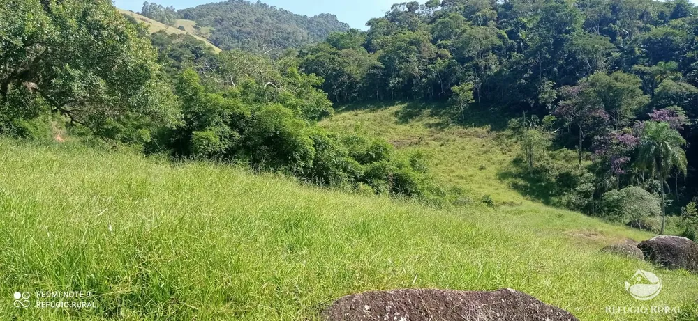 Terreno, 6 hectares - Foto 13