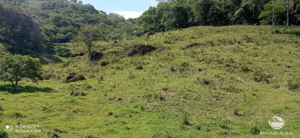 Terreno, 6 hectares - Foto 7