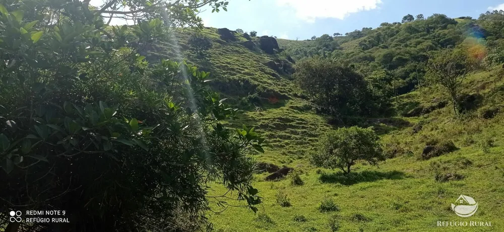 Terreno, 6 hectares - Foto 1