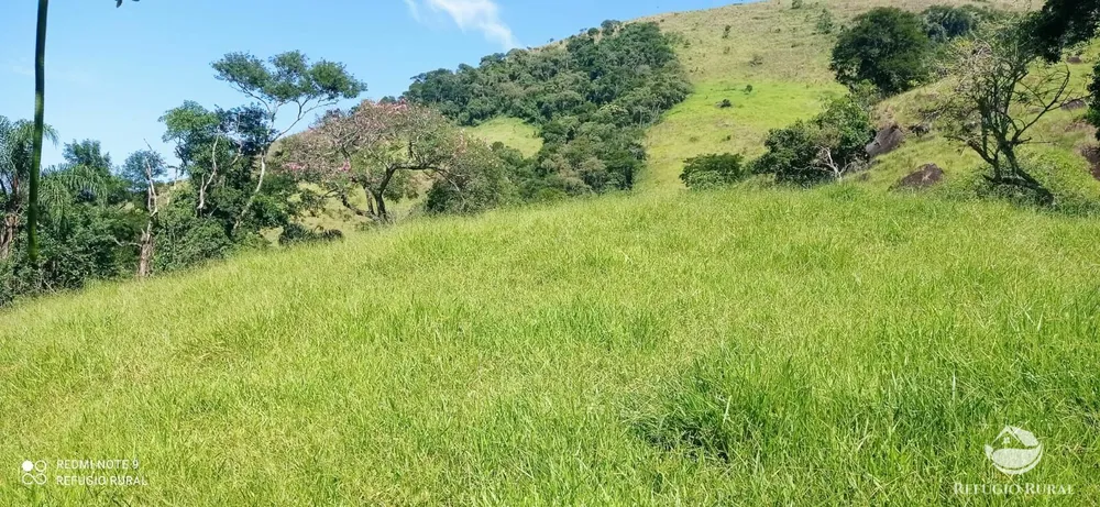 Terreno, 6 hectares - Foto 11