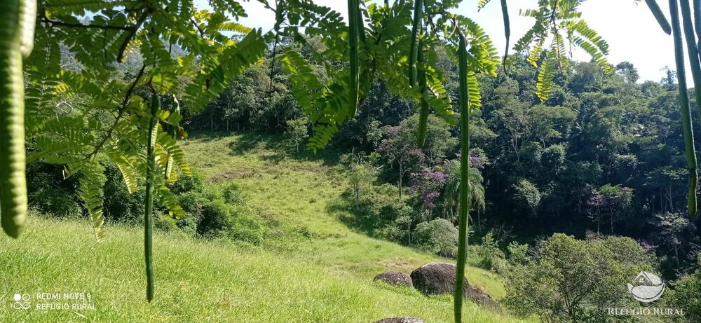 Terreno à venda, 60000m² - Foto 4