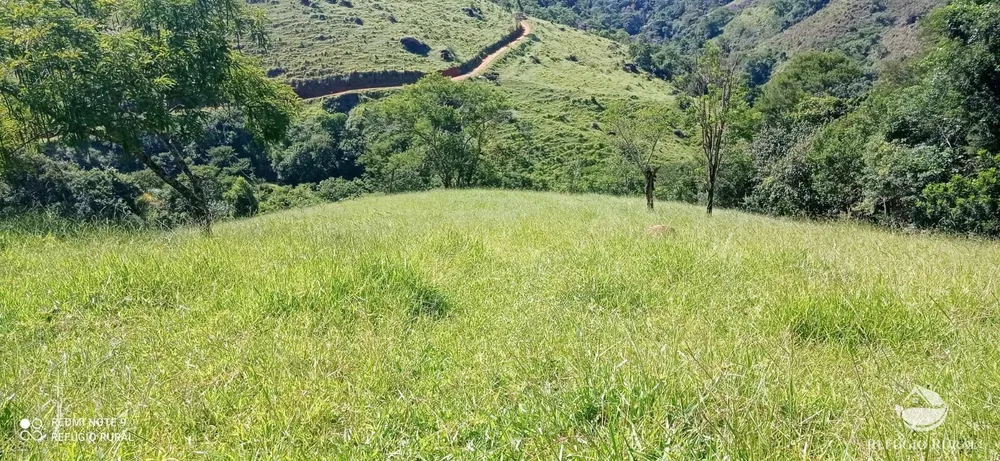 Terreno, 6 hectares - Foto 16
