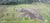 Terreno, 6 hectares - Foto 3