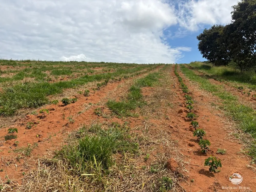 Fazenda, 75 hectares - Foto 7