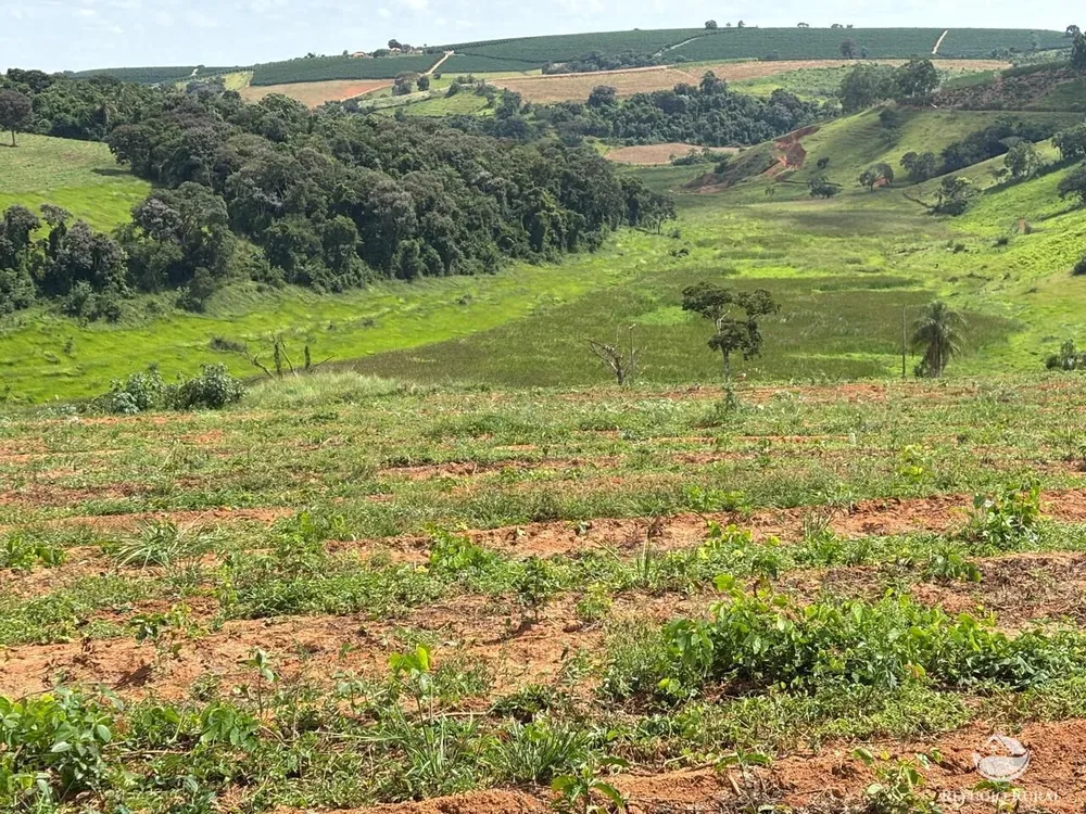 Fazenda, 75 hectares - Foto 6