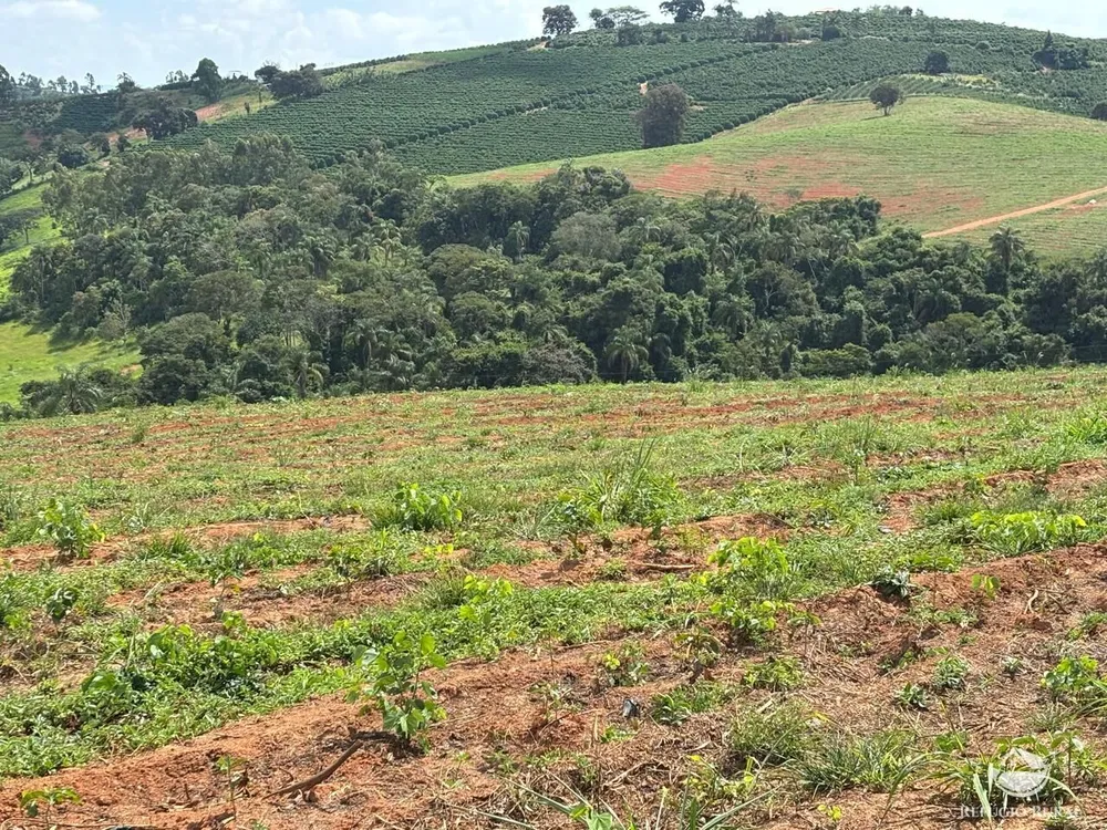 Fazenda, 75 hectares - Foto 5