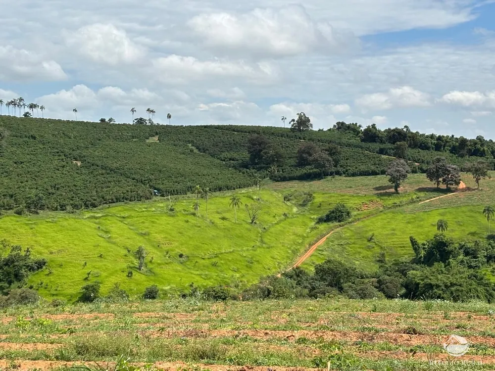Fazenda, 75 hectares - Foto 3