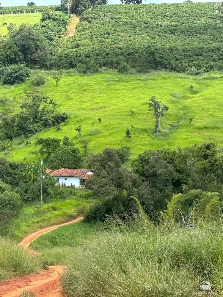 Fazenda, 75 hectares - Foto 1