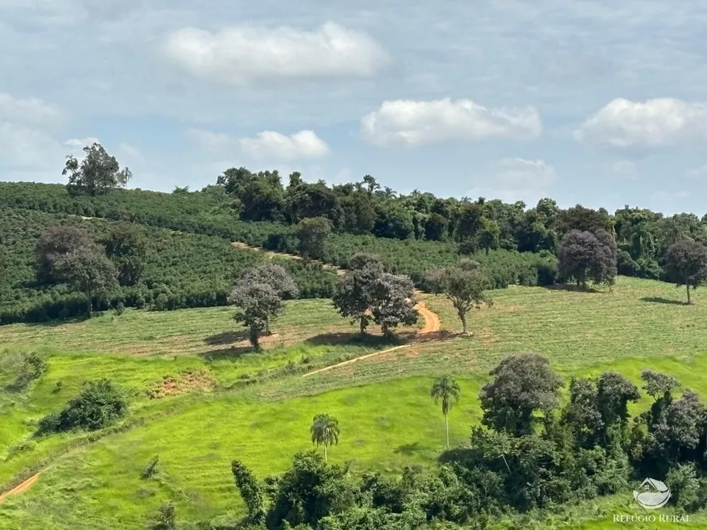 Fazenda, 75 hectares - Foto 2