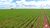 Fazenda-Sítio-Chácara, 4100 hectares - Foto 2