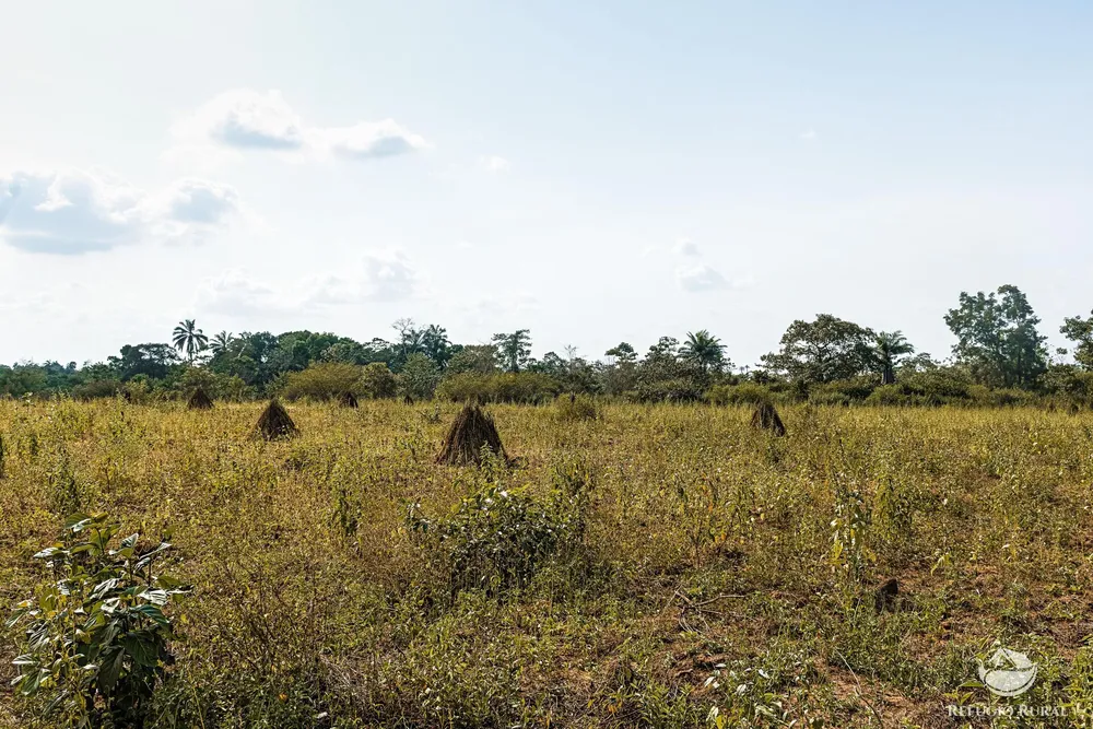 Fazenda, 744 hectares - Foto 1