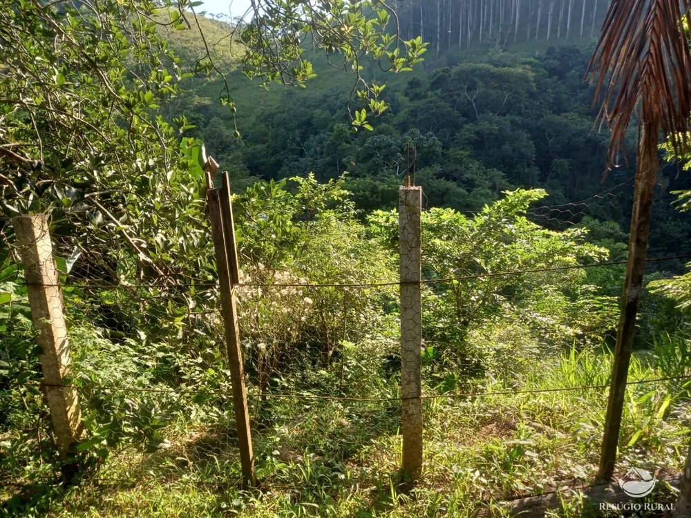 Chácara, 2 hectares - Foto 6