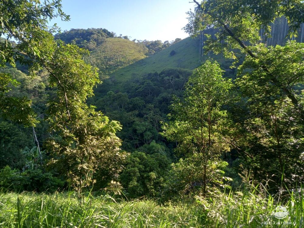 Chácara, 2 hectares - Foto 2