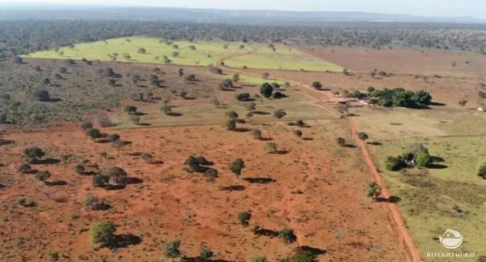 Fazenda, 1338 hectares - Foto 10