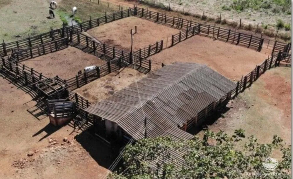 Fazenda, 1338 hectares - Foto 4
