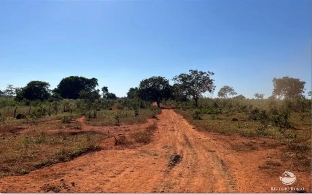 Fazenda, 1338 hectares - Foto 12