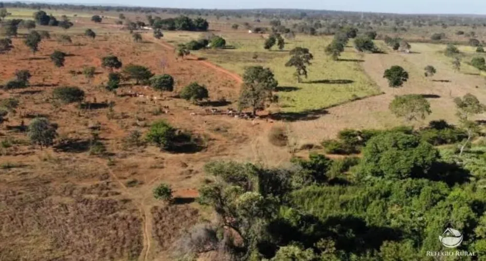 Fazenda, 1338 hectares - Foto 6