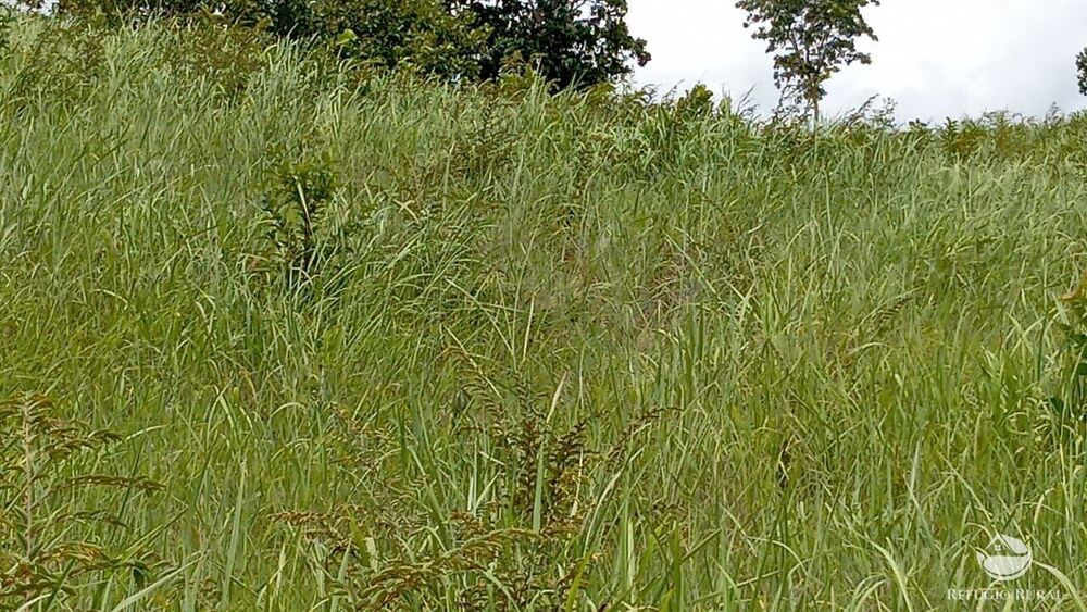 Fazenda à venda com 2 quartos, 3872000m² - Foto 15