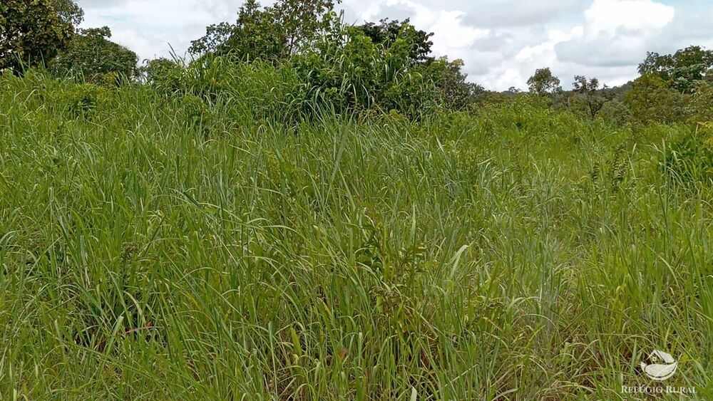 Fazenda à venda com 2 quartos, 3872000m² - Foto 14