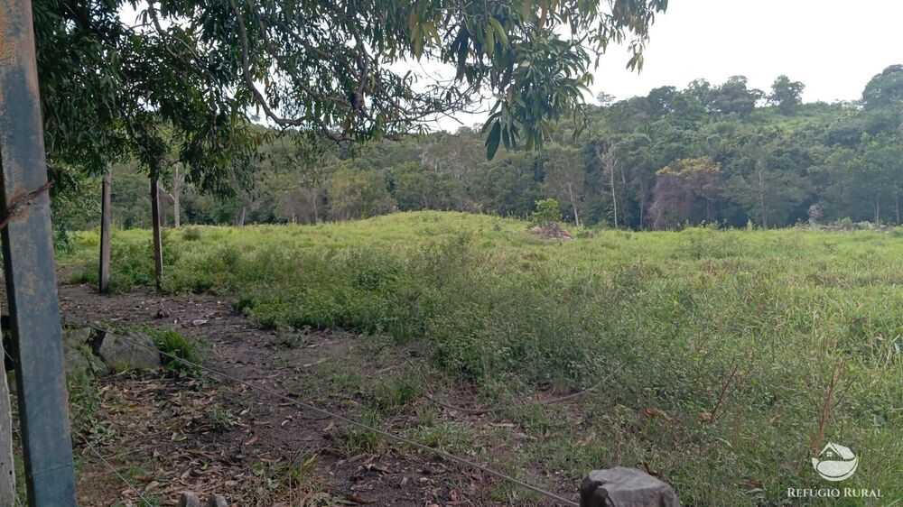 Fazenda à venda com 2 quartos, 3872000m² - Foto 19