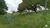 Fazenda-Sítio-Chácara, 387 hectares - Foto 13