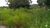 Fazenda-Sítio-Chácara, 387 hectares - Foto 9
