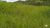 Fazenda-Sítio-Chácara, 387 hectares - Foto 7