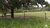 Fazenda-Sítio-Chácara, 387 hectares - Foto 1
