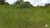 Fazenda-Sítio-Chácara, 387 hectares - Foto 14