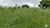 Fazenda-Sítio-Chácara, 387 hectares - Foto 12