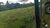 Fazenda-Sítio-Chácara, 387 hectares - Foto 20