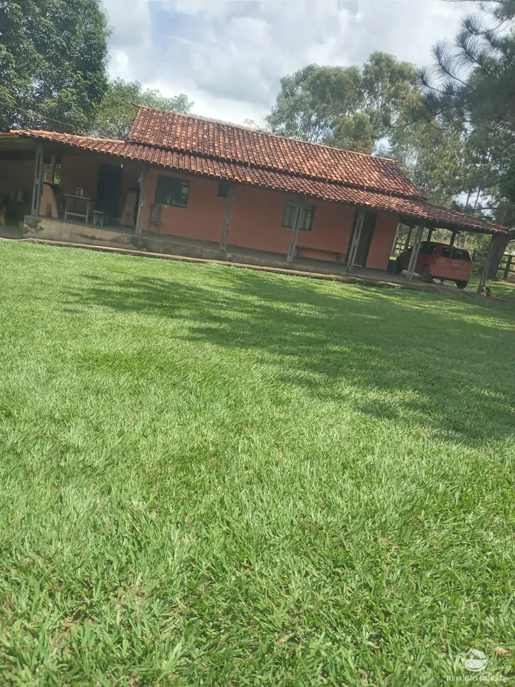 Fazenda, 250 hectares - Foto 3