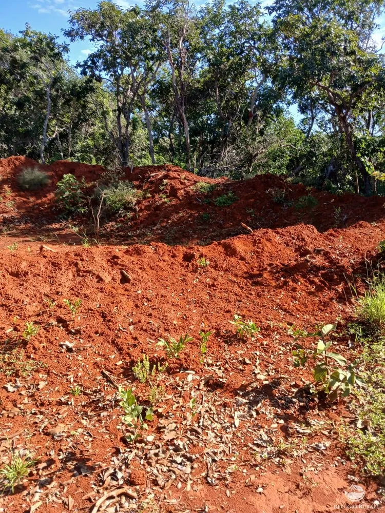 Fazenda, 250 hectares - Foto 7