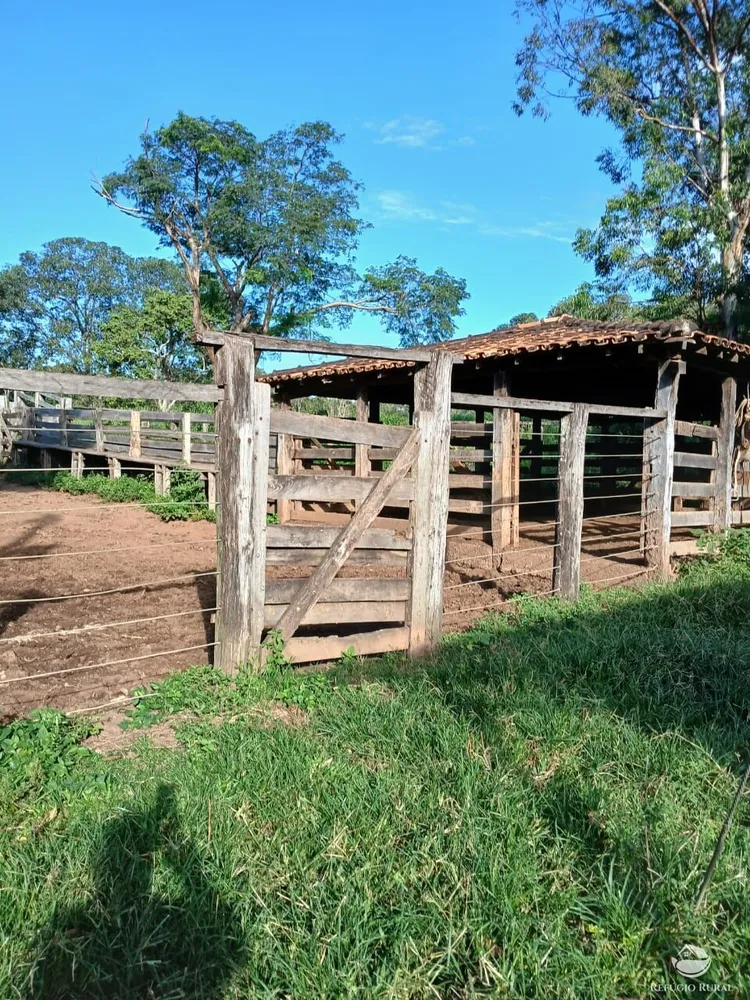 Fazenda, 250 hectares - Foto 4