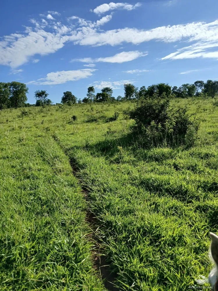 Fazenda, 250 hectares - Foto 1