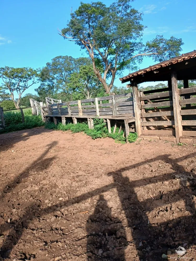 Fazenda, 250 hectares - Foto 16