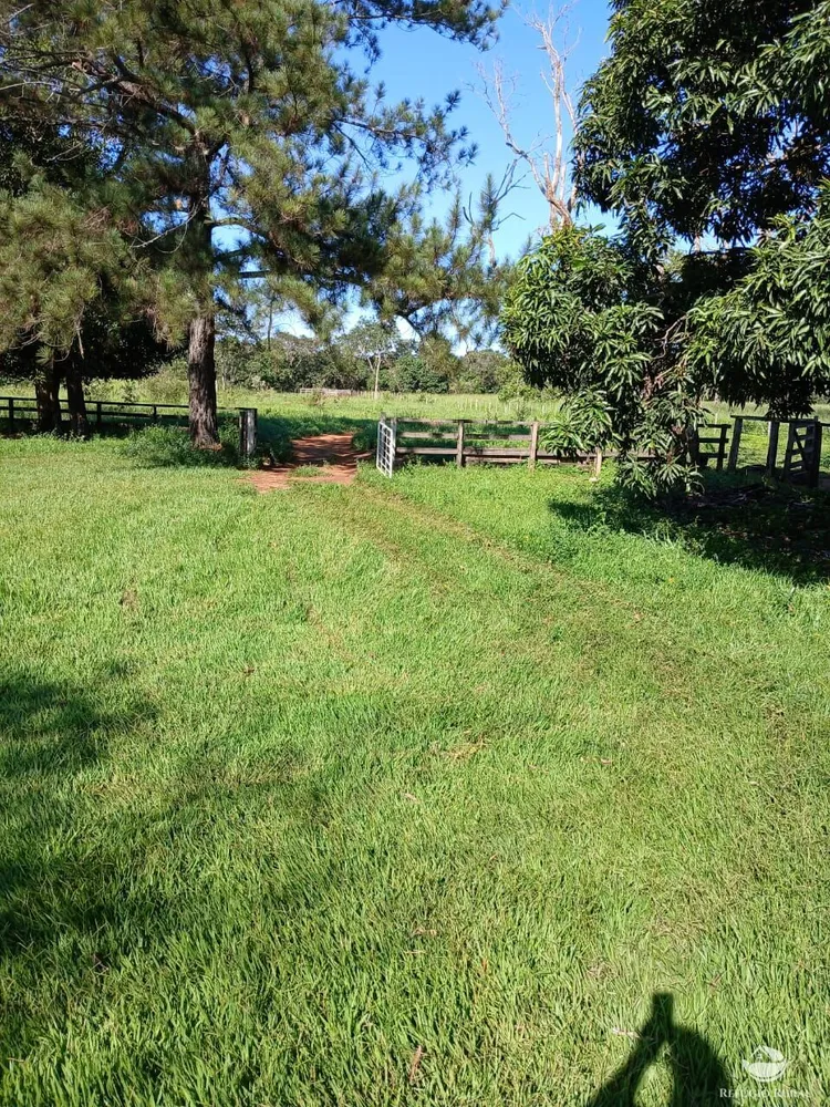 Fazenda, 250 hectares - Foto 2