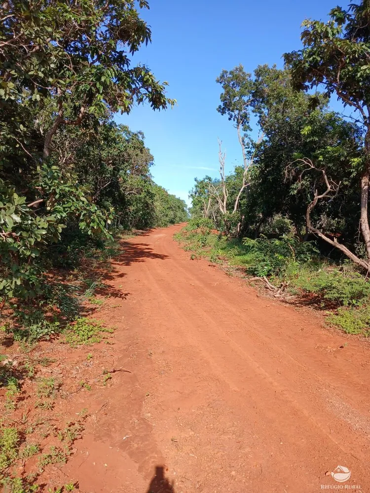 Fazenda, 250 hectares - Foto 8