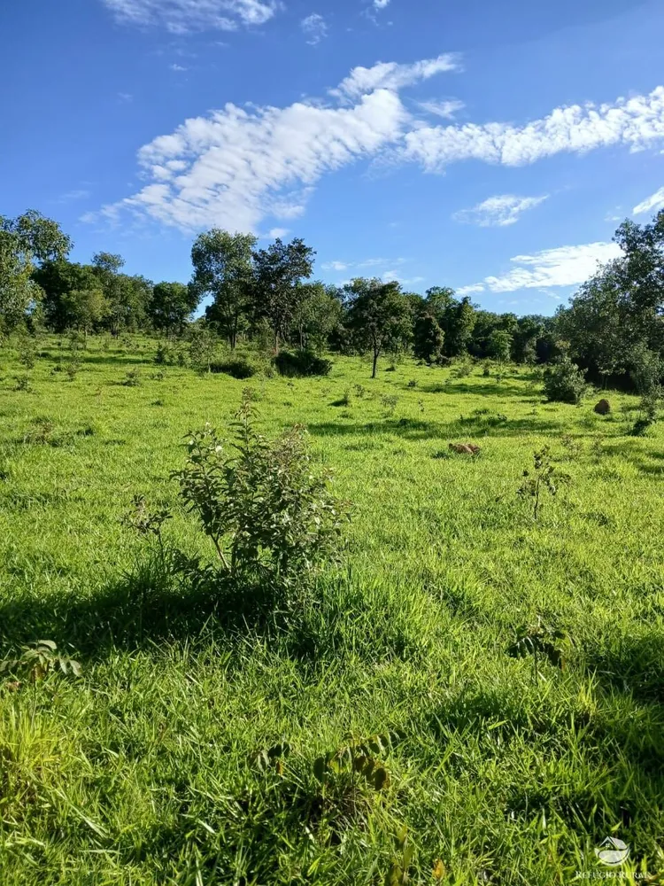 Fazenda, 250 hectares - Foto 6