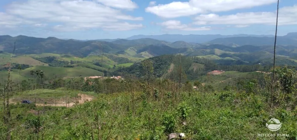 Terreno, 2 hectares - Foto 7