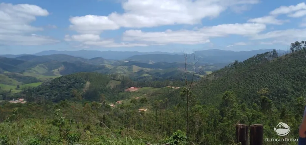 Terreno, 2 hectares - Foto 4