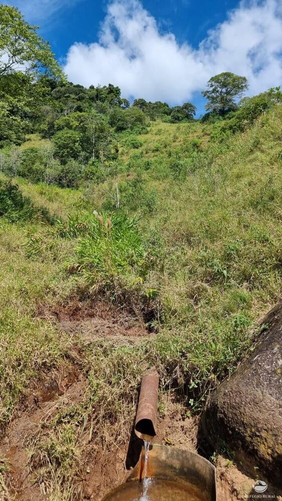 Terreno, 8 hectares - Foto 15