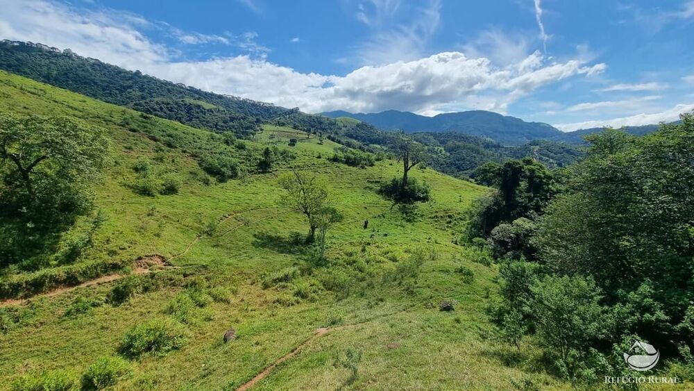 Terreno, 8 hectares - Foto 5