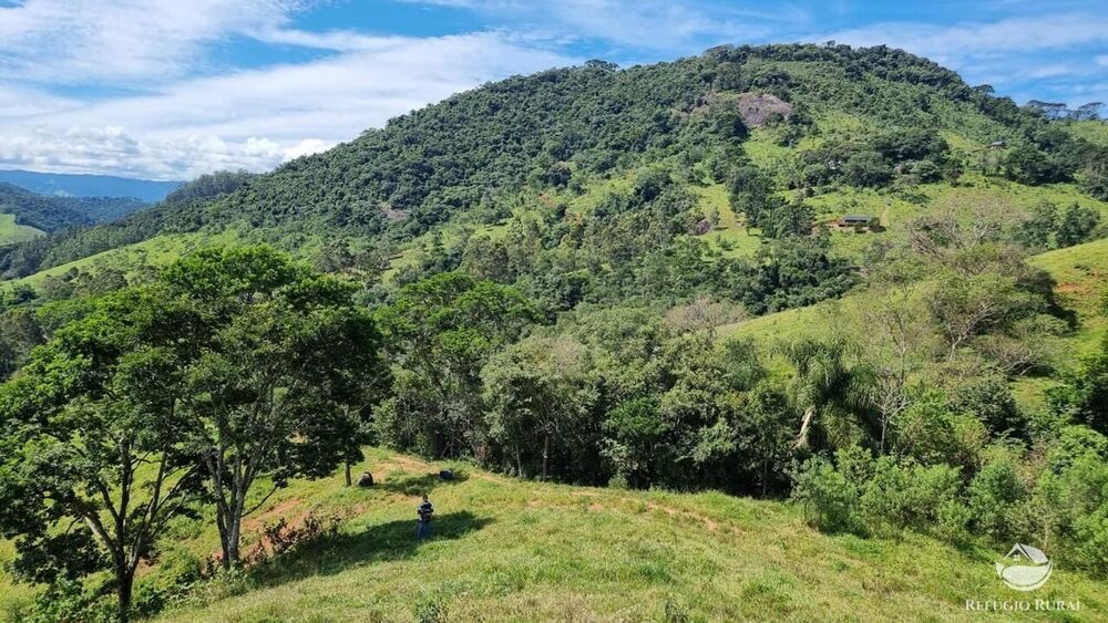 Terreno, 8 hectares - Foto 3