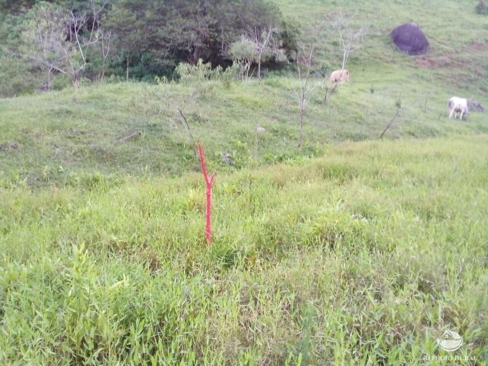 Terreno, 8 hectares - Foto 27